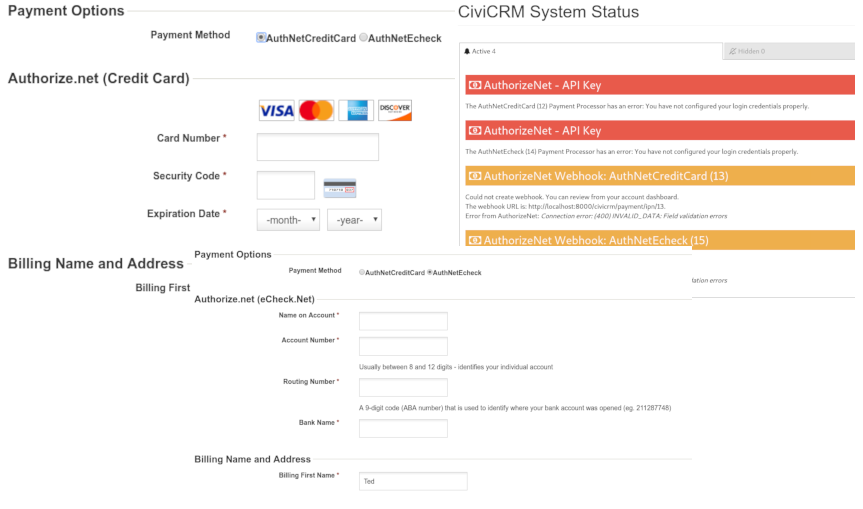 authnet cc echeck preview