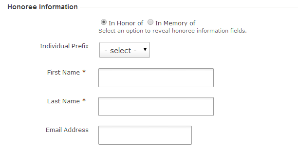 The form as the user will see it on the website.